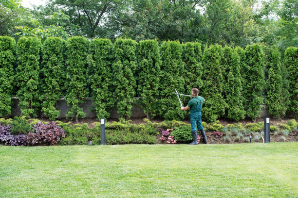 Best Lawn Irrigation Installation and Maintenance  in USA